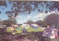 Picture of Ballintaggart Caravan and Camping Site, Kerry