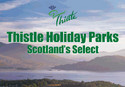 Thistle