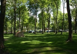 Picture of Golden Valley Camping & Caravan Park, Derbyshire, Central North England