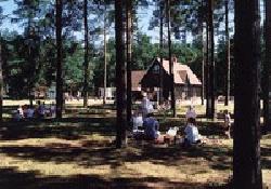 Picture of Thorpe Woodland Caravan & Camping Site, Norfolk