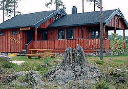 Picture of Premier Norwegian Log Cabins UK Ltd, London