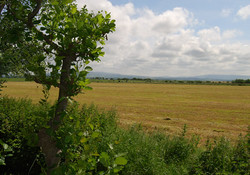 Picture of Hawthorne Caravan Park, Lancashire, North of England