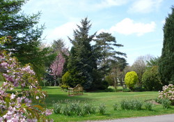 Spring
