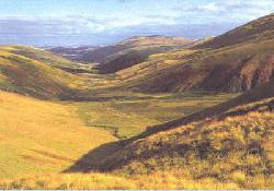 Picture of Swinhoe Links Caravan Park, Northumberland
