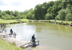 Picture of Wyre Forest Holiday Village, Worcestershire, Central South England