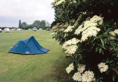 Picture of Cambridge Camping and Caravanning Club Site, Cambridgeshire