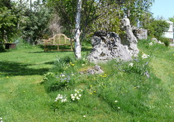 Woodland glade
