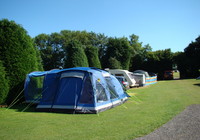 Woodlands Grove Caravan & Camping Site Devon