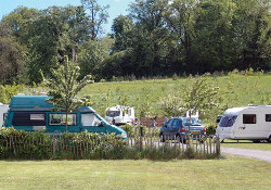 Picture of Delamont Country Park Camping and Caravanning Club, Down Picture of Delamont Country Park Camping and Caravanning Club, Down