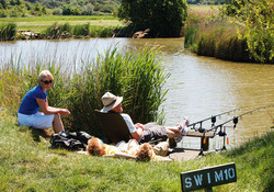 Picture of The Orchards Holiday Park, Essex, East England Picture of The Orchards Holiday Park, Essex, East England