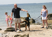 Picture of Auchenlarie Holiday Park, Dumfries &amp; Galloway