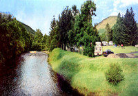 Newpark