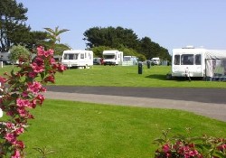 Little Cotton Caravan Park - A view across the second field at Little Cotton.