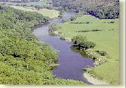 Picture of Symonds Yat Caravan Park, Herefordshire