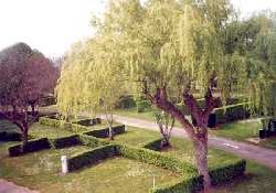 Picture of du Pâquier Fané, Saône-et-Loire