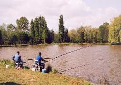 Picture of du Pâquier Fané, Saône-et-Loire