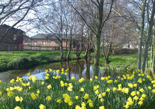 Picture of Beeston Regis Caravan Park, Norfolk, East England