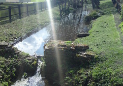 Picture of Beeston Regis Caravan Park, Norfolk, East England