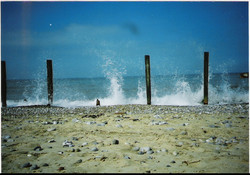 Picture of Beeston Regis Caravan Park, Norfolk, East England