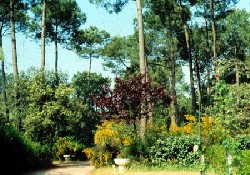 Picture of Camping les Ecureuils, Vendée