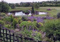 Picture of Herons Pond Caravan Park, North Yorkshire, North of England