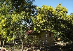 Picture of La Coscolleda, Pyrénées-Orientales