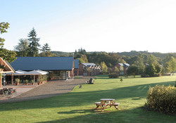 Picture of Whitemead Forest Park, Gloucestershire, Central South England