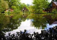 Picture of Whitemead Forest Park, Gloucestershire, Central South England