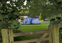 Picture of Whitemead Forest Park, Gloucestershire, Central South England