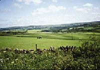 Picture of Grange Caravan Club Site, Durham