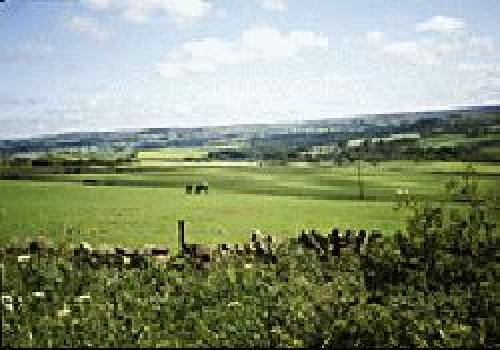 Picture of Grange Caravan Club Site, Durham