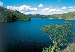 Picture of Erwlon Caravan & Camping, Carmarthenshire