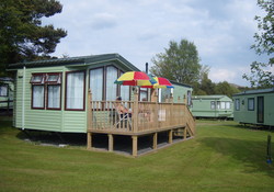 The Pines