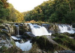 Picture of famous falls at Cenarth