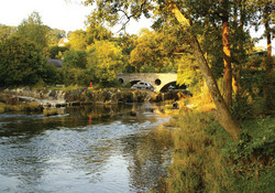 Picture of famous bridge and falls at Cenarth
