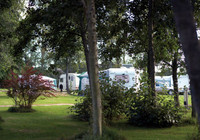 Picture of Scone Palace Camping and Caravanning Club Site, Perth &amp; Kinross