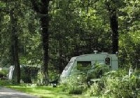 Picture of Woodland Caravan &amp; Camping Site, Gloucestershire