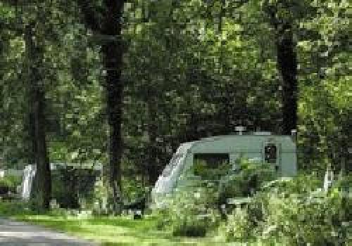 Picture of Woodland Caravan & Camping Site, Gloucestershire