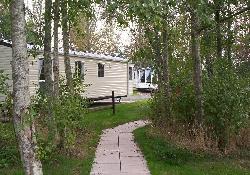 Picture of Scone Palace Camping and Caravanning Club Site, Perth & Kinross