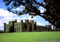 Picture of Scone Palace Camping and Caravanning Club Site, Perth &amp; Kinross