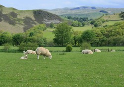 Picture of Erwbarfe Farm Caravan Park, Ceredigion, Wales