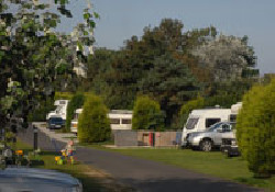 Picture of Seacroft Caravan Club Site, Norfolk, East England