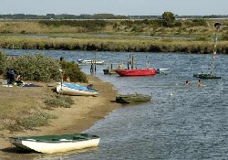 Picture of Camping l'Ocean, Vendée