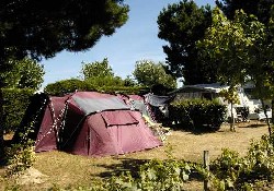 Picture of Camping l'Ocean, Vendée