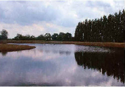 Picture of Little Ranch, Cambridgeshire