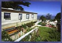 Picture of Beeches Holiday Park, Somerset Picture of Beeches Holiday Park, Somerset