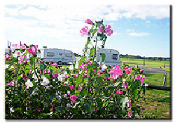 Picture of New Farm Caravan Park, Cheshire, Central North England