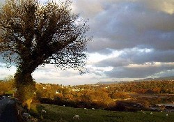 Picture of Plas Caravan Park, Isle of Anglesey Picture of Plas Caravan Park, Isle of Anglesey