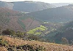 Picture of Caeran Mill Caravan Park, Denbighshire