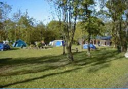 Picture of Doward Park Campsite, Herefordshire